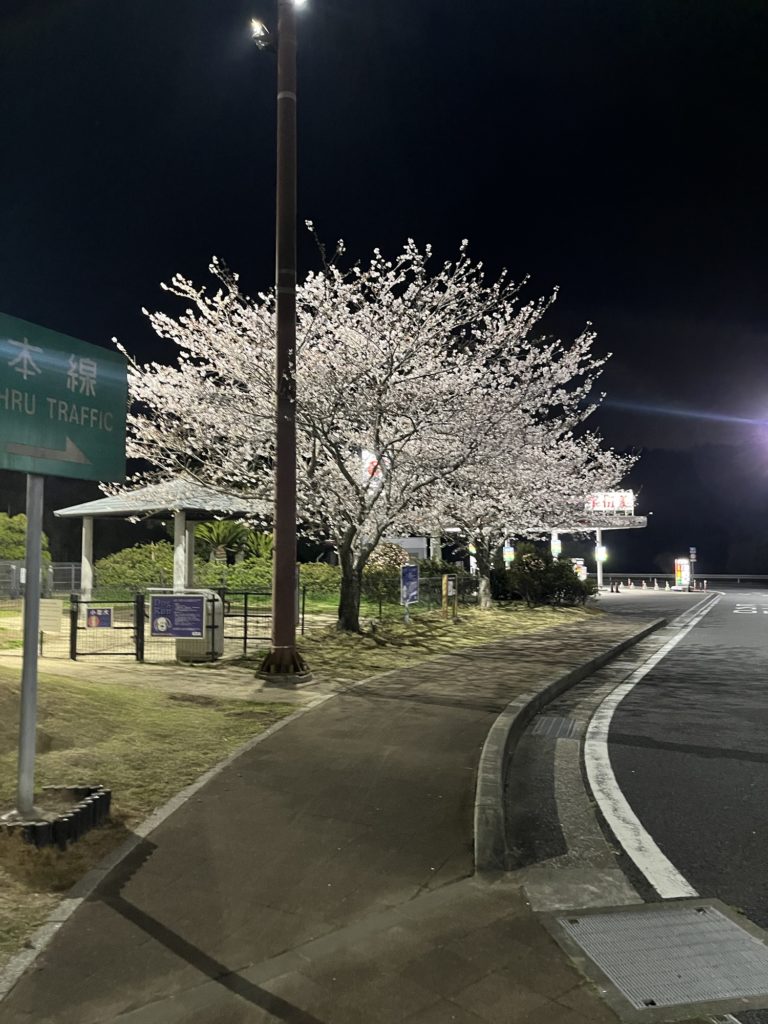 神戸第二戦から、全日本開幕戦　新東京大会